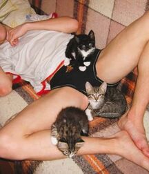 TWINK TUBE STARS LUKAS COLLECTION - NICE & CUTE BOYS FACES 62e6d7a798f73.jpg