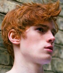 TWINK TUBE STARS LUKAS COLLECTION - NICE & CUTE BOYS FACES 62e6d7e7788ae.jpg