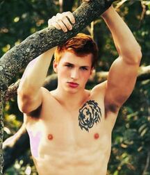 TWINK TUBE STARS LUKAS COLLECTION - NICE & CUTE BOYS FACES 62e6d80ca7c00.jpg