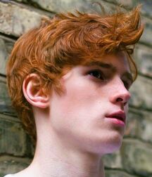 TWINK TUBE STARS LUKAS COLLECTION - NICE & CUTE BOYS FACES 62e6d953b1acc.jpg