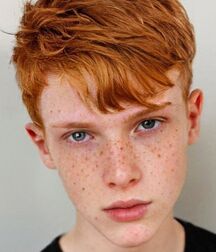 WONDER TWINK TUBE DAWN LUKAS COLLECTION - NICE & CUTE BOYS FACES 62ed7c7fa72e3.jpg