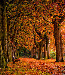 Mixed guys 5f8f0b8cda1aa.jpg