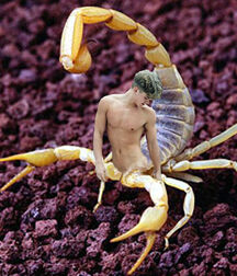 Mixed guys 5f8f0bd2f3e1a.jpg