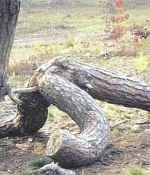 Mixed guys 5f8f0f72370a8.jpg