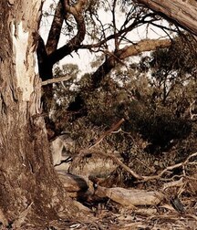 More mixed guys 5f90355145486.jpg