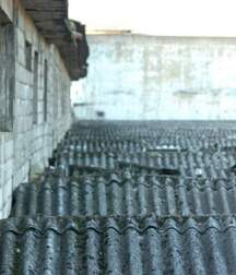 More mixed guys 5f9037f36f716.jpg