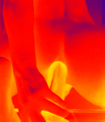 kaiden gif pak boys porn 5f9a1a6c3a8c3.gif