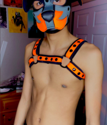 Puppy Boys Fetish Gay Porn 62b683660ad48.png