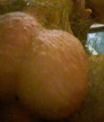 Pleasurable Reactions Gay Tube 5f9fe8c7a1333.jpg