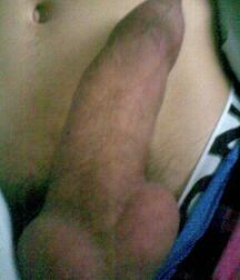 Twinks Gay Porn Cocks 5fd2a0b1280ce.jpeg