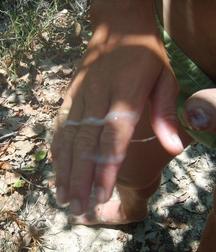 friends beach 57b33bd4a54f9.jpg