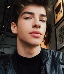 Brunette Boys Gay Tube Image Selection 5fcc924680b37.jpg