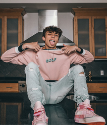 18YO Josh Richards Tiktok star 5fe04c1d564ce.png