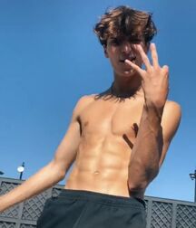 18YO Josh Richards Tiktok star 5fe04c3c491b1.jpg