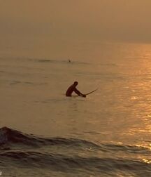 Surfer Chance gay tube legend 601479ce698b3.jpg