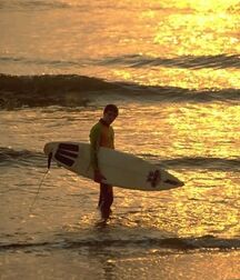 Surfer Chance gay tube legend 601479d2a140d.jpg