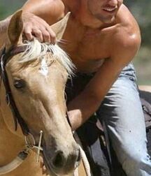 Country Boy can Survive gay tube 6015c7104b17e.jpg