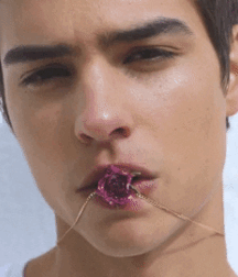My boys together again twink tube 611379d8aa91c.gif