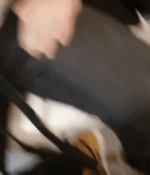 My boys together twinks tube 614e55ce56fe4.gif
