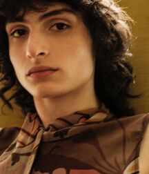 Finn Wolfhard Twink Tube Boi 619675aaed440.jpg