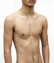 Crazytrain Vol 54 Boys porn twinks 605d21cd755c2.jpeg
