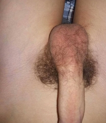 just dickzzz boy porn pics cocks 6051306d3a0d2.jpeg