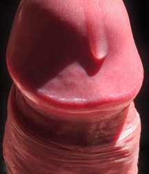 Things I’d swallow gay porn videos 60cd45e97f4de.jpeg