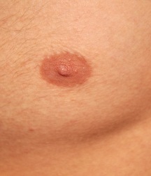 Gay Tube Tyoma twink gay porn boys 606120cea2f37.jpg