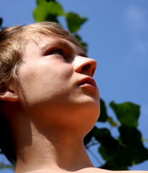 Gay Tube Chris twink porn boys 60bf192ff2a58.jpg