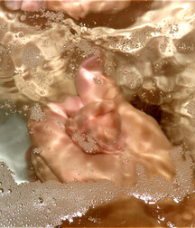 Gay Tube Rene twink porn boys 60c4aeb0872b4.jpg