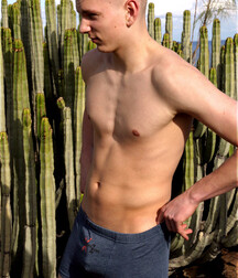 Sebastian twink gay porn boys 60ca8e1a93a68.jpg