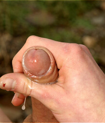 Gay Porn Tube Sebastian twink porn boys 60ca908ef23dd.jpg