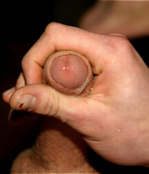 Gay Twink Sebastian porn boys 60ca92f798dbb.jpg
