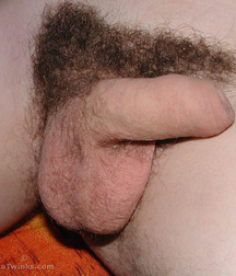 Gay Porn Tube Kofner twink porn boys 60cede708d9a5.jpg
