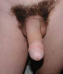 Gay Porn Tube Kofner twink porn boys 60cededd46af2.jpg