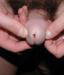 Gay Porn Tube Kofner twink porn boys 60cededfc2815.jpg