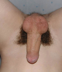 Gay Porn Tube Kofner twink porn boys 60cedf3697b4e.jpg