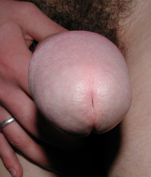 Gay Porn Tube Kofner twink porn boys 60cedf58a15ee.jpg