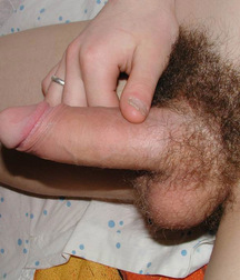 Gay Porn Tube Kofner twink porn boys 60cedfec0e31b.jpg