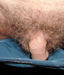 Gay Teen Porn Tube Akim Boys 60d289af7e026.jpg