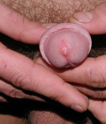 Gay Teen Porn Tube Akim Boys 60d289c3a7d6d.jpg