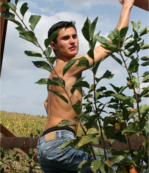 Gay Porn Tube Sanjar Teen Boys 60df27390dfc8.jpg