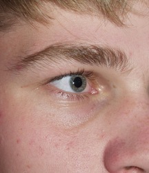 Gay Porn Tube Donat Teen Boys 612ebfef9aacd.jpg