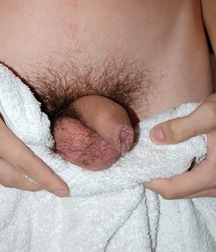 Gay Porn Tube Damek Teen Boys 612ecfd719dd4.jpg