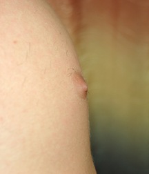 Gay Porn Tube Feodor Teen Boys 612f80c93070a.jpg