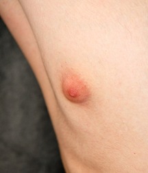 Gay Porn Tube James Teen Boys 6130138bbd433.jpg