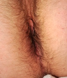 Gay Porn Tube James Teen Boys 6130147bee47e.jpg