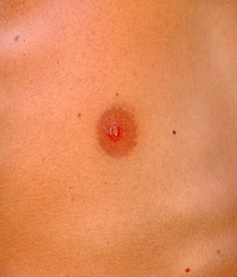 Gay Porn Tube Levushka Teen Boys 61301a9d6f86b.jpg