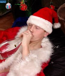 Christmas 629806282cc16.jpg