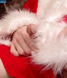Christmas 629806b3a0789.jpg